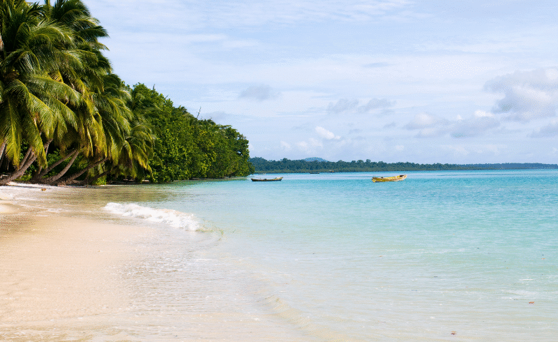 Havelock Island 02